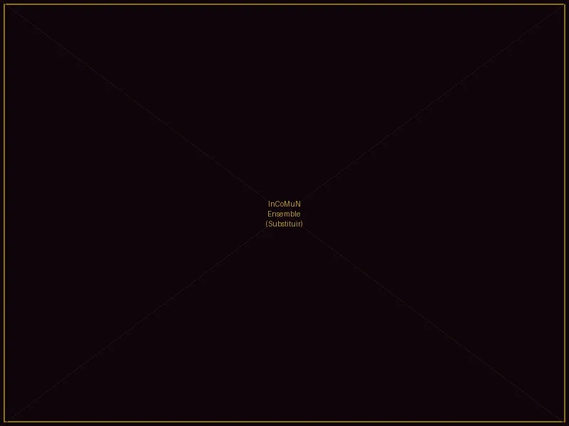 InCoMuN Ensemble Performance